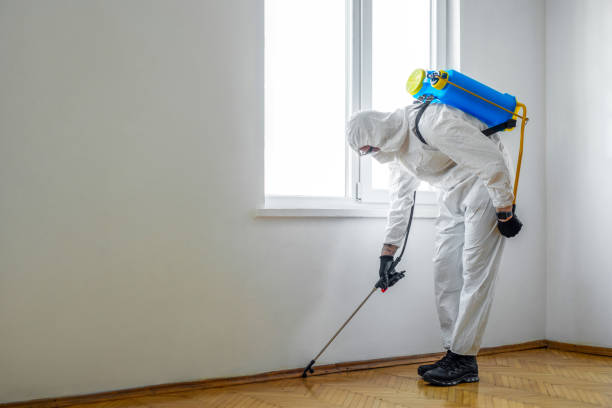 Best Flea Control Services  in Dixmoor, IL