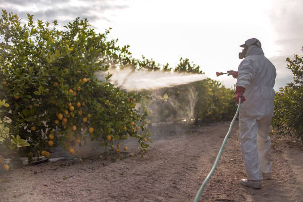Dixmoor, IL Pest Control Company