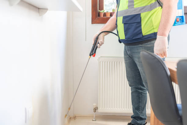 Best Affordable Pest Control Services  in Dixmoor, IL