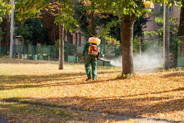 Wasp Removal Services in Dixmoor, IL