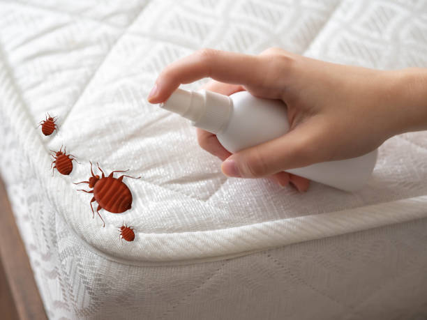 Best Best Pest Control Companies  in Dixmoor, IL