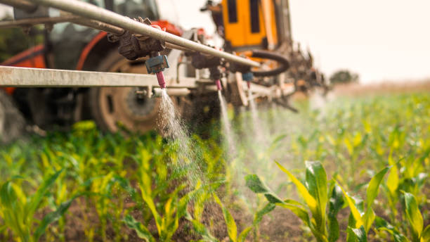 Best Pest Removal Services  in Dixmoor, IL